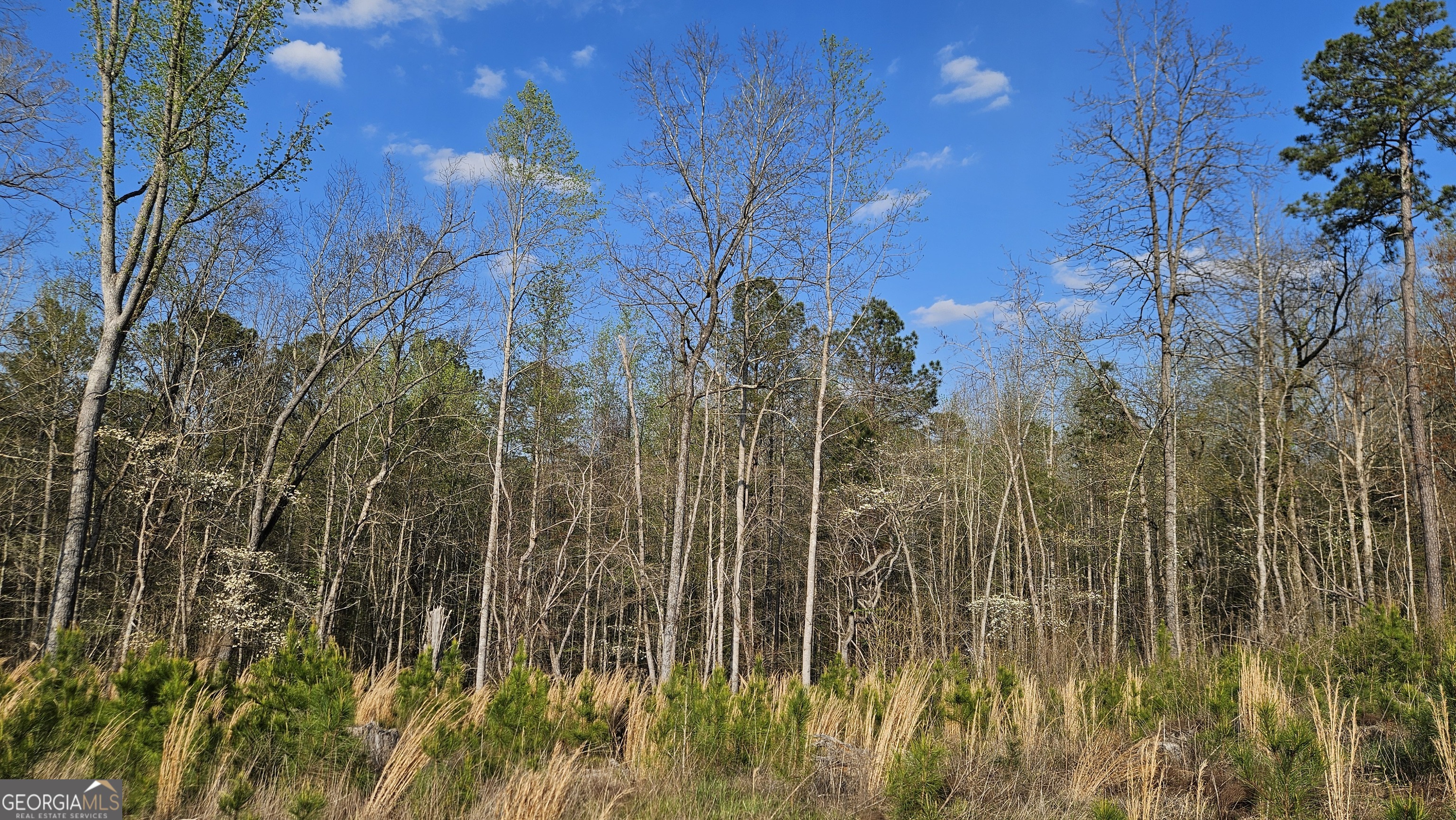 0 Highway 15 Greensboro GA 30642