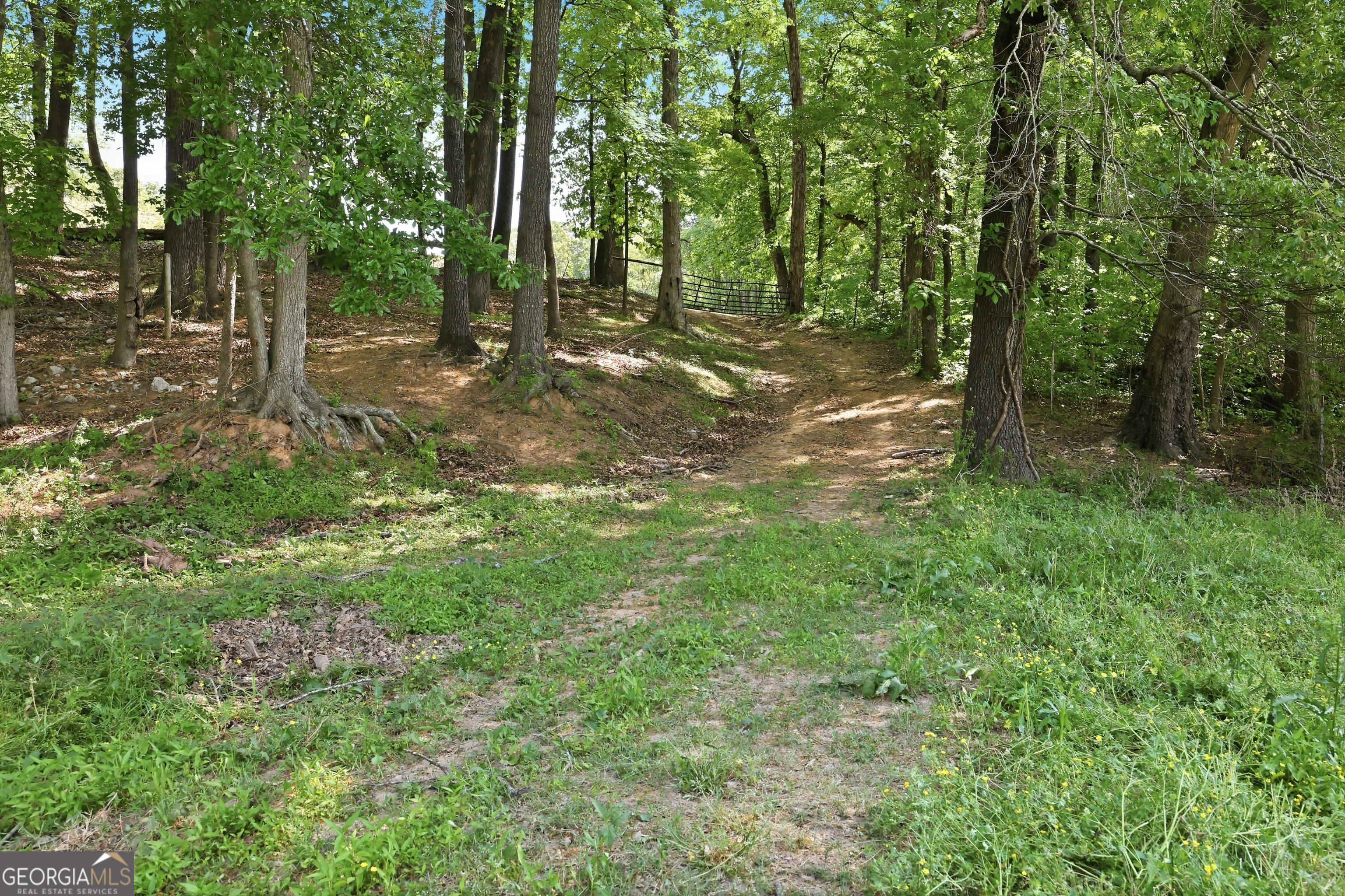 3120 W Currahee Street Toccoa GA 30577