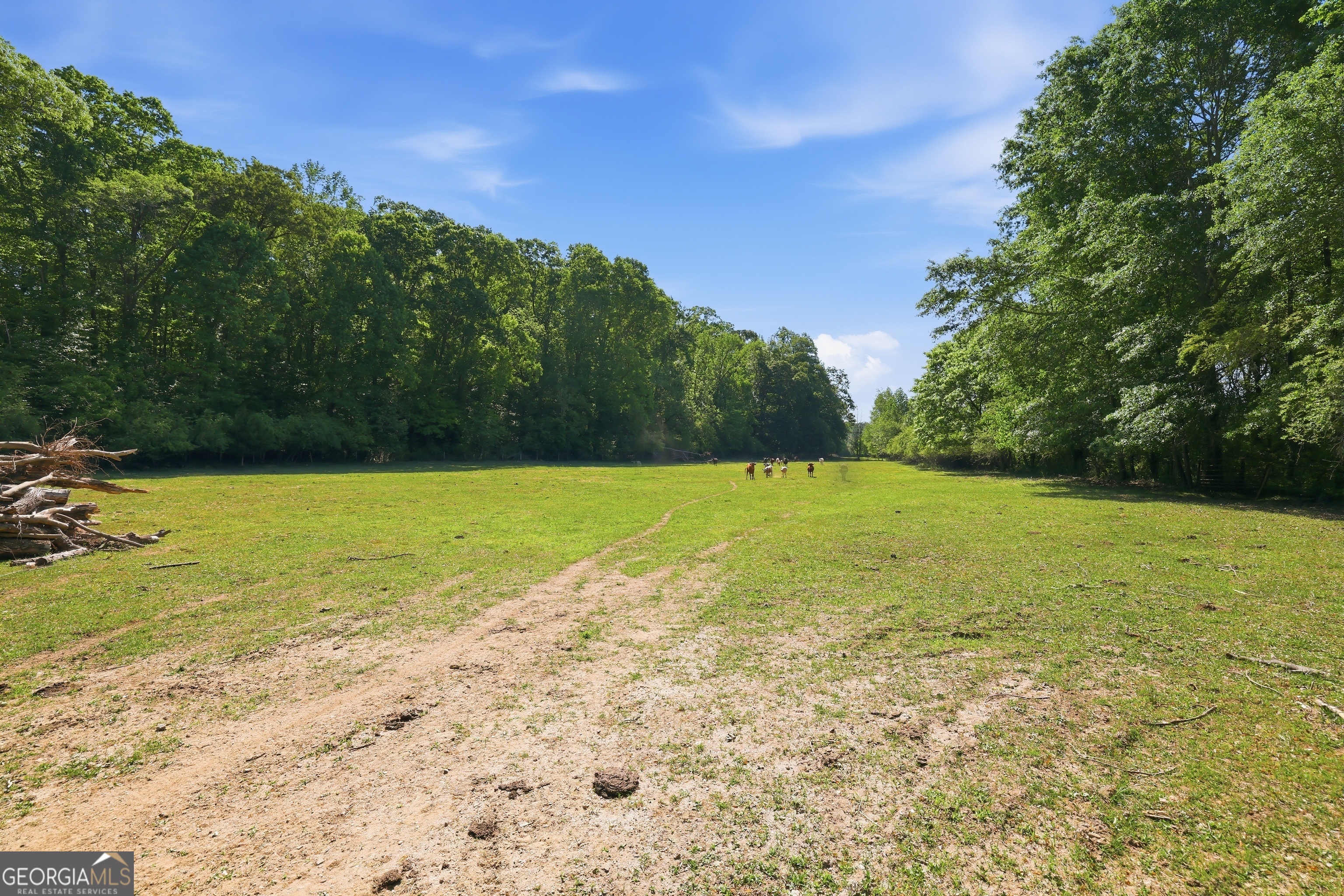 3120 W Currahee Street Toccoa GA 30577