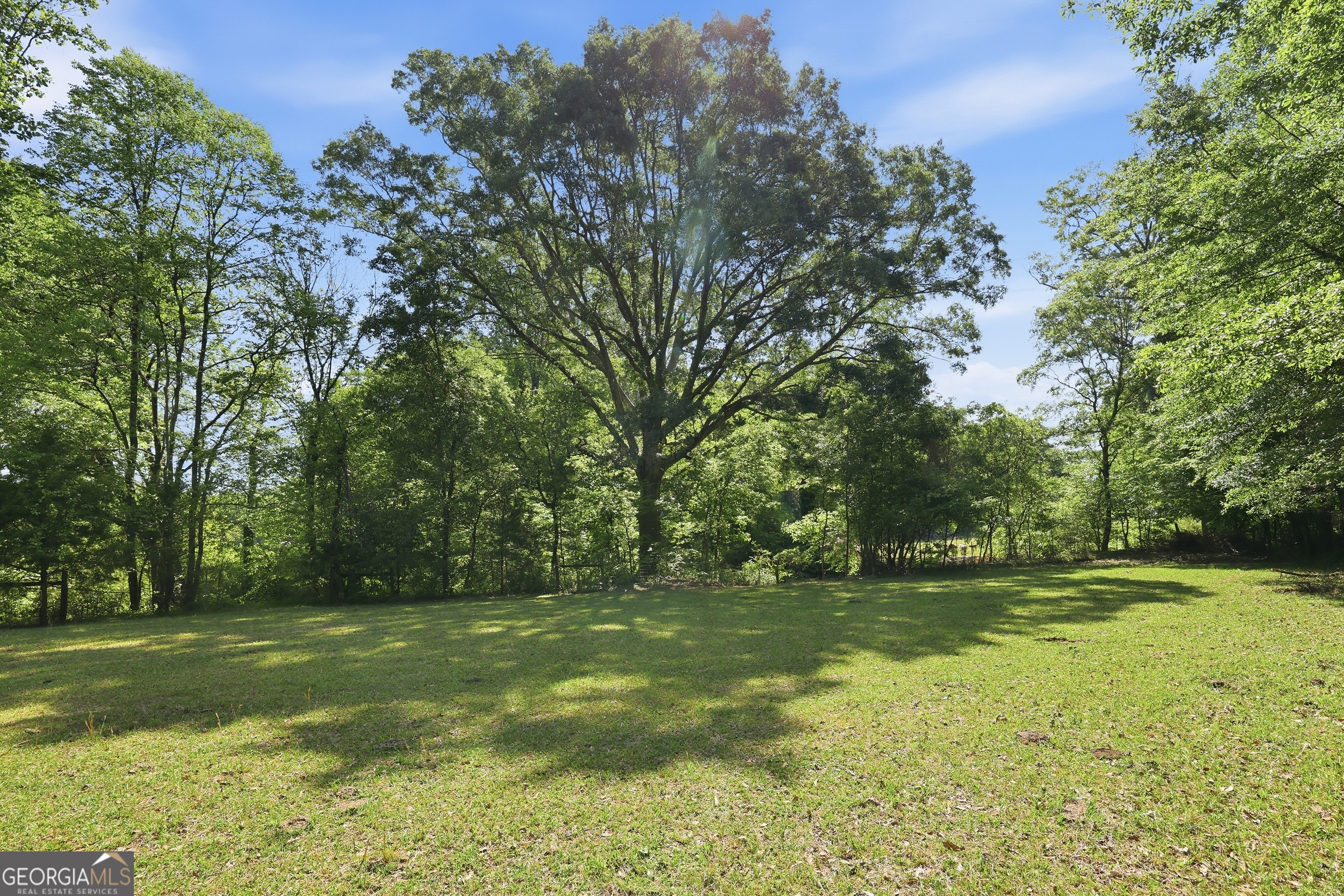 3120 W Currahee Street Toccoa GA 30577