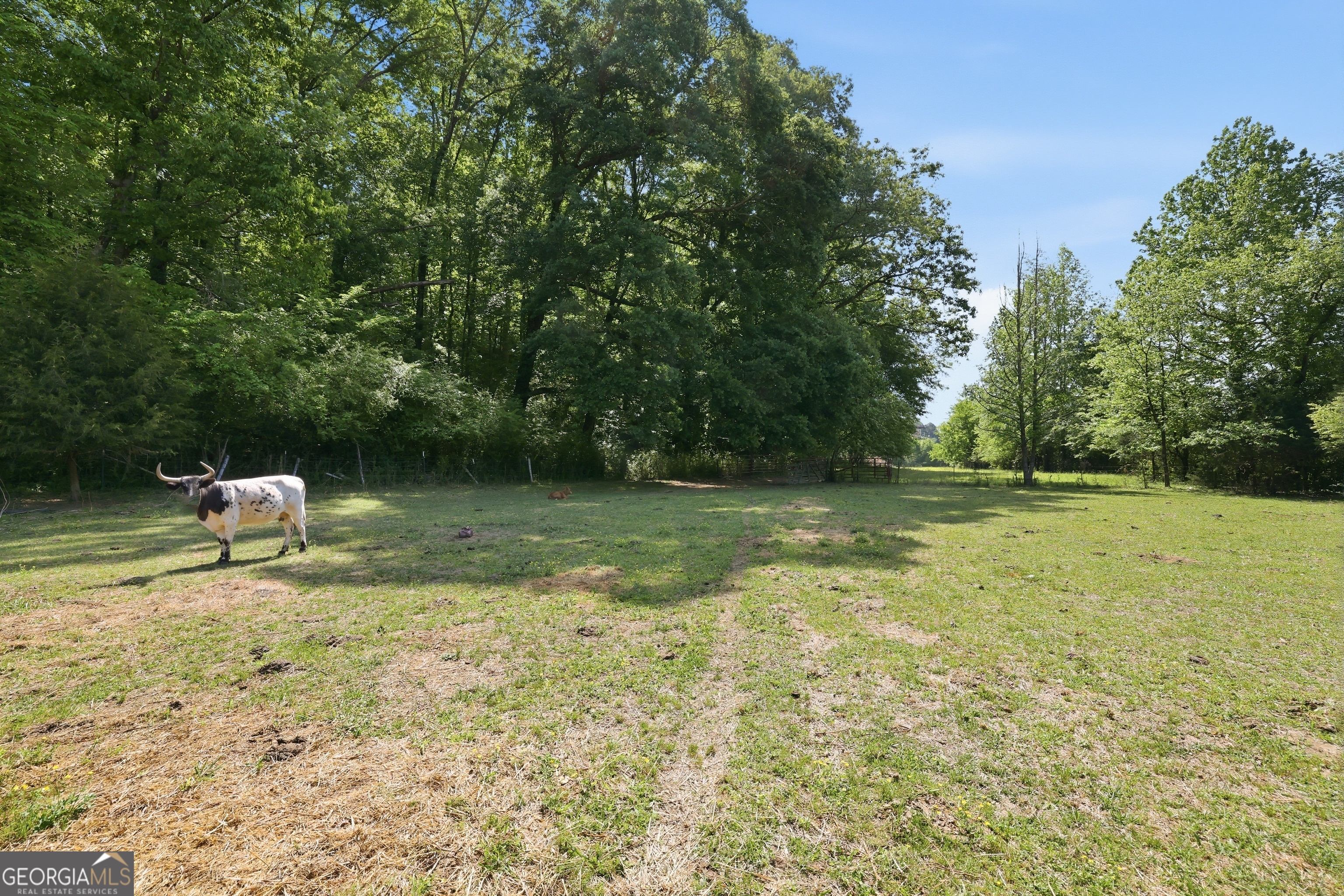 3120 W Currahee Street Toccoa GA 30577