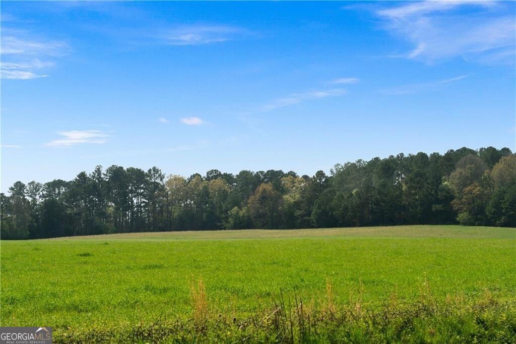 0 Taylorsville Macedonia Road Taylorsville GA 30178