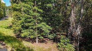 925 Arrow Trail Waleska GA 30183