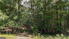 925 Arrow Trail Waleska GA 30183