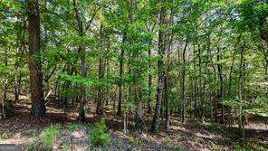 925 Arrow Trail Waleska GA 30183