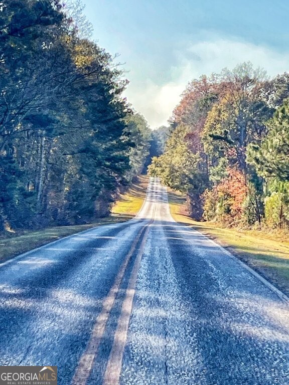 0 Fullerton-phillips & Greer Road Hillsboro GA 31038