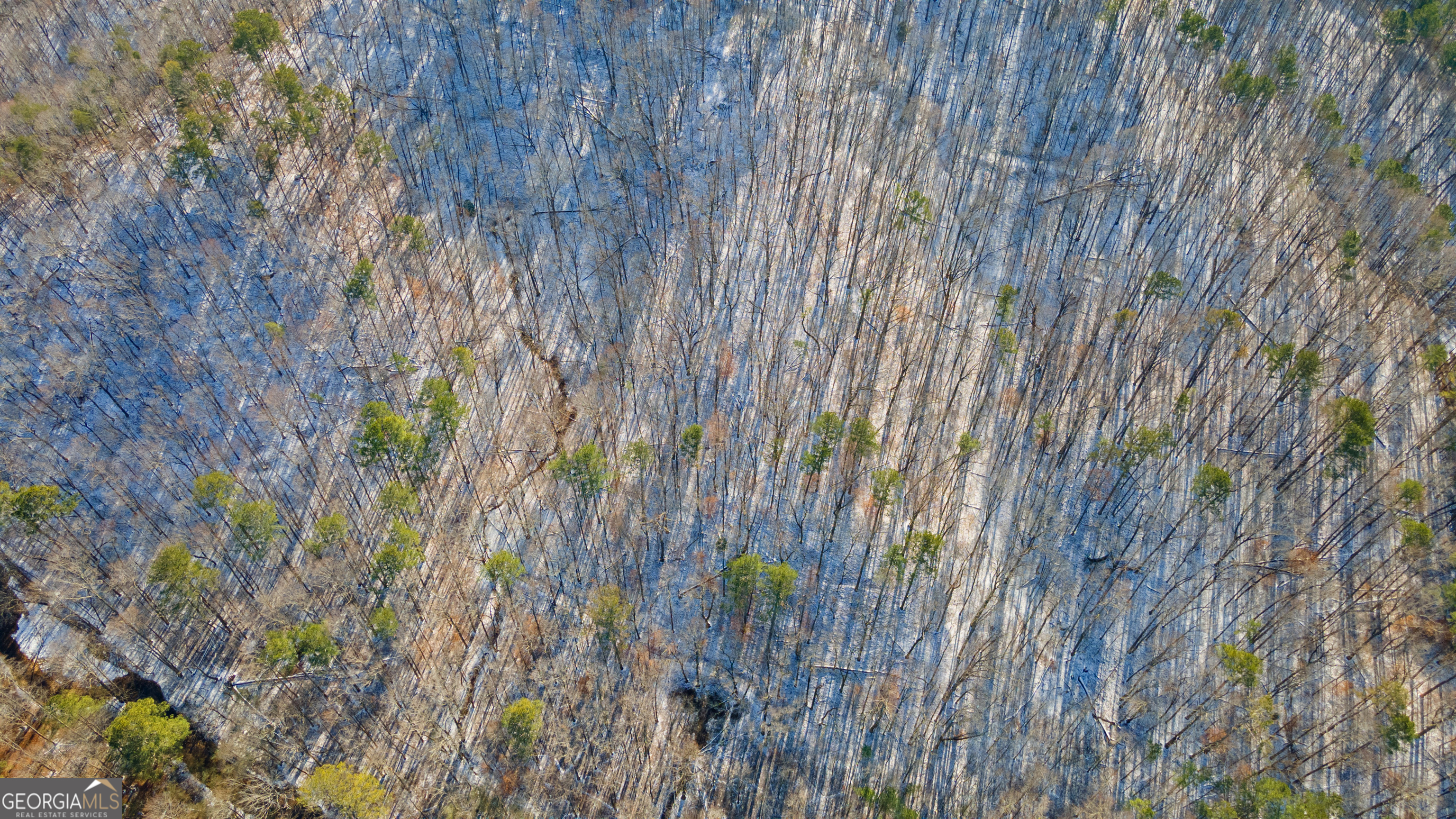 Ll 219 Yukon Road Talking Rock GA 30175