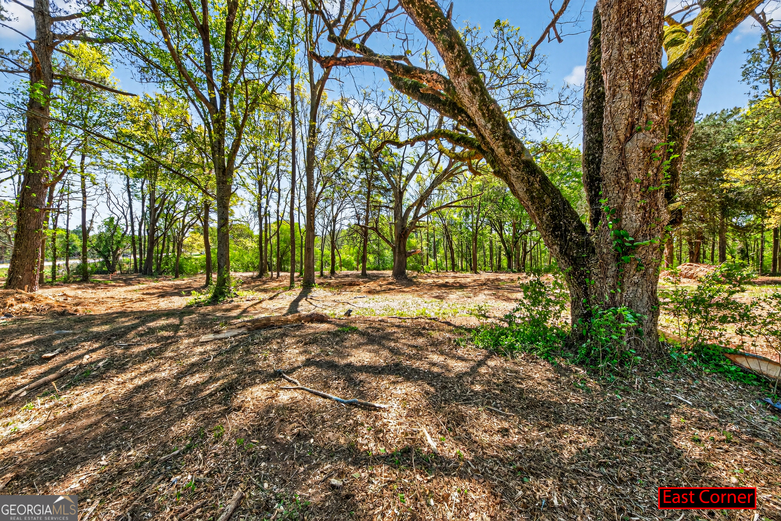 2330 Greensboro Highway Watkinsville GA 30677