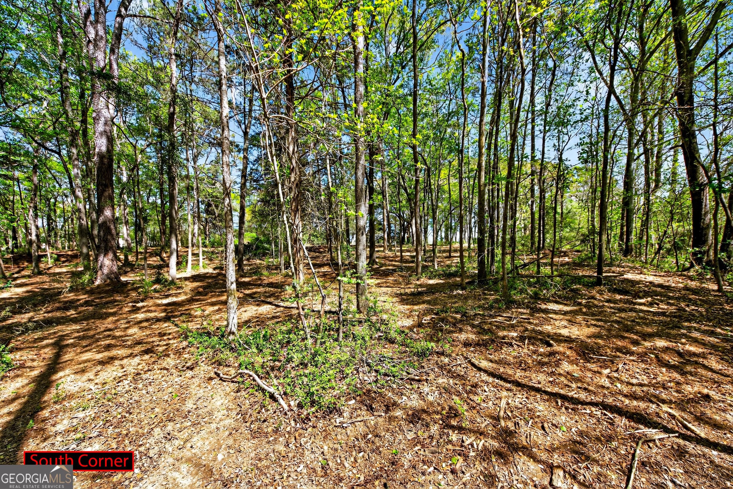 2330 Greensboro Highway Watkinsville GA 30677