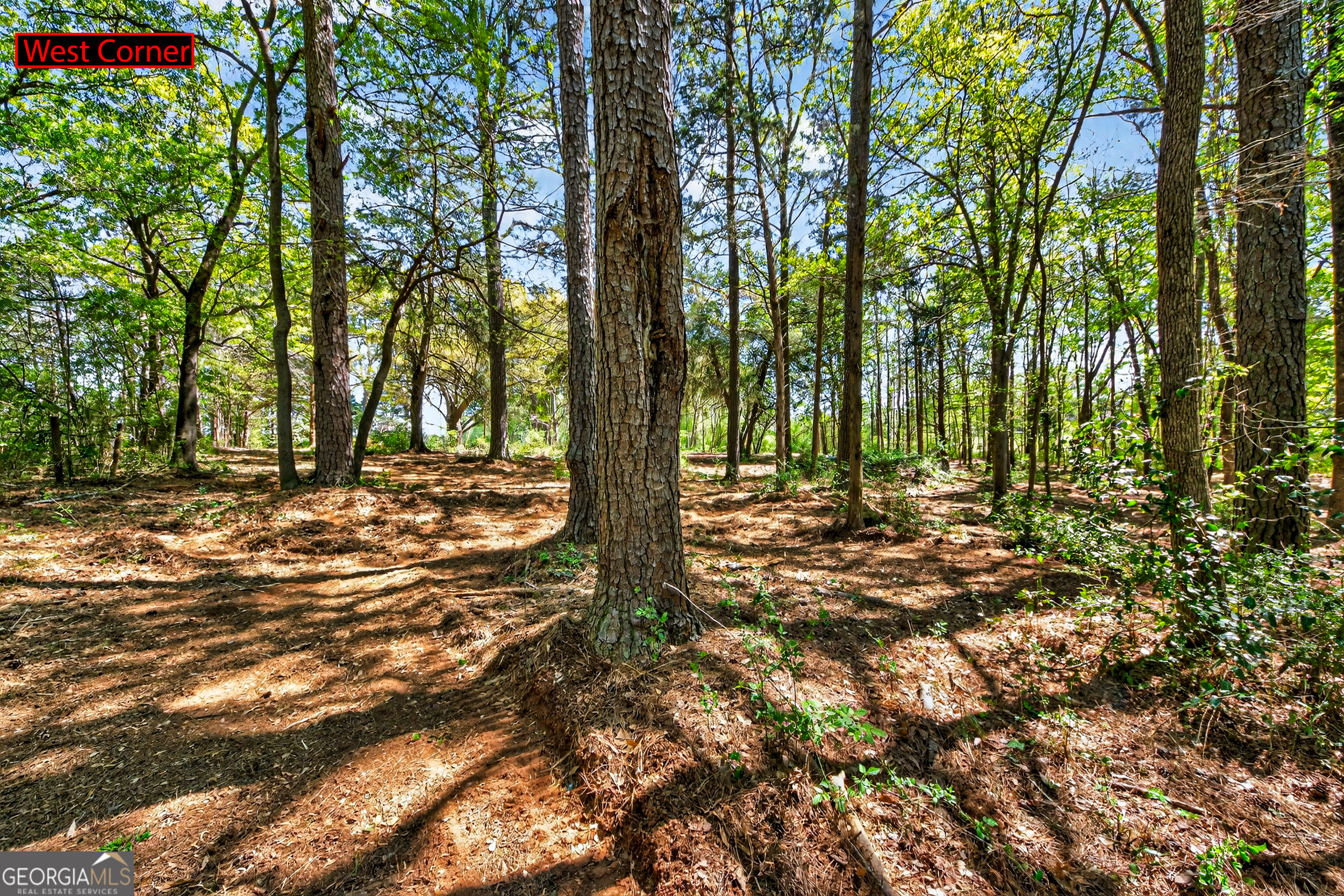 2330 Greensboro Highway Watkinsville GA 30677