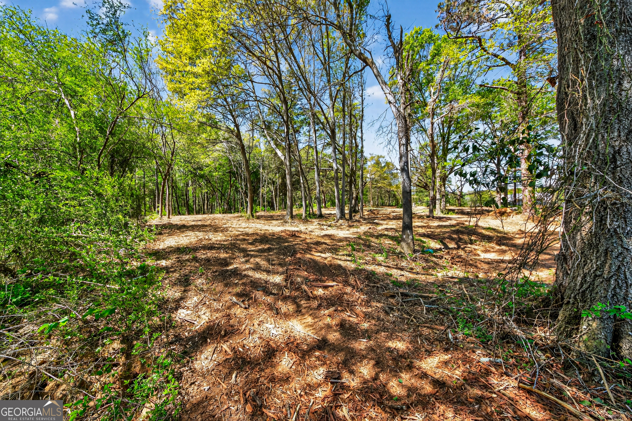 2330 Greensboro Highway Watkinsville GA 30677