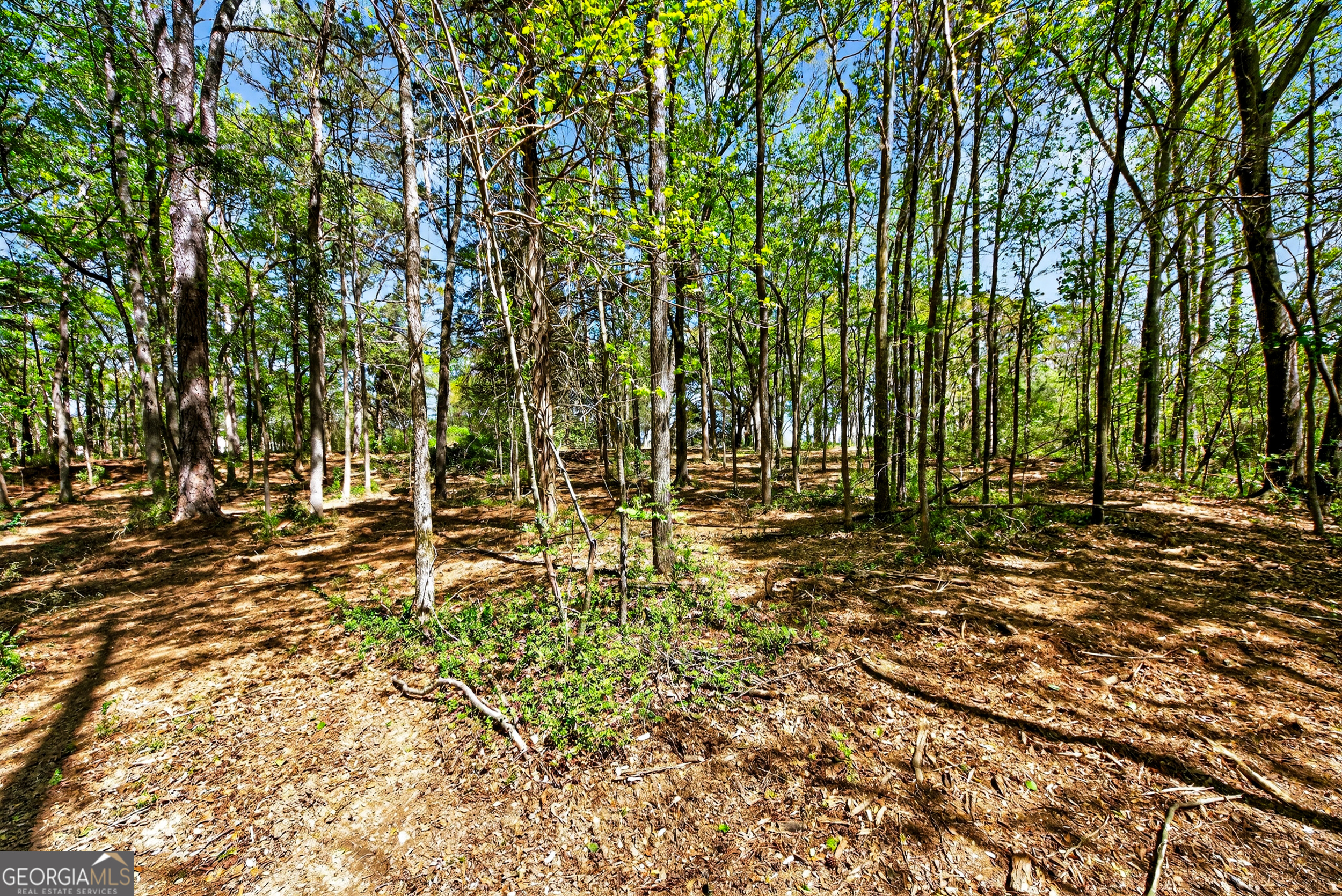 2330 Greensboro Highway Watkinsville GA 30677