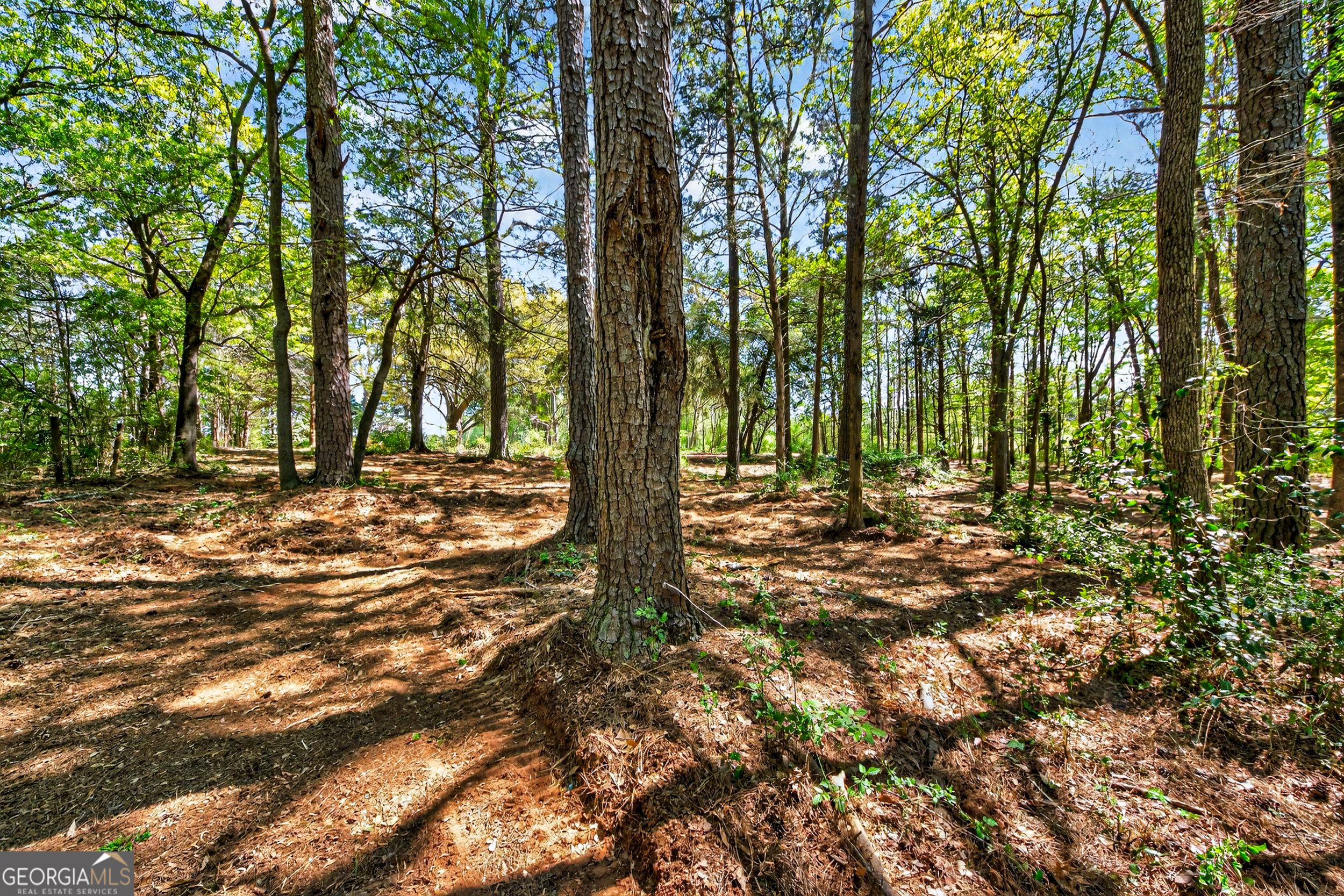 2330 Greensboro Highway Watkinsville GA 30677
