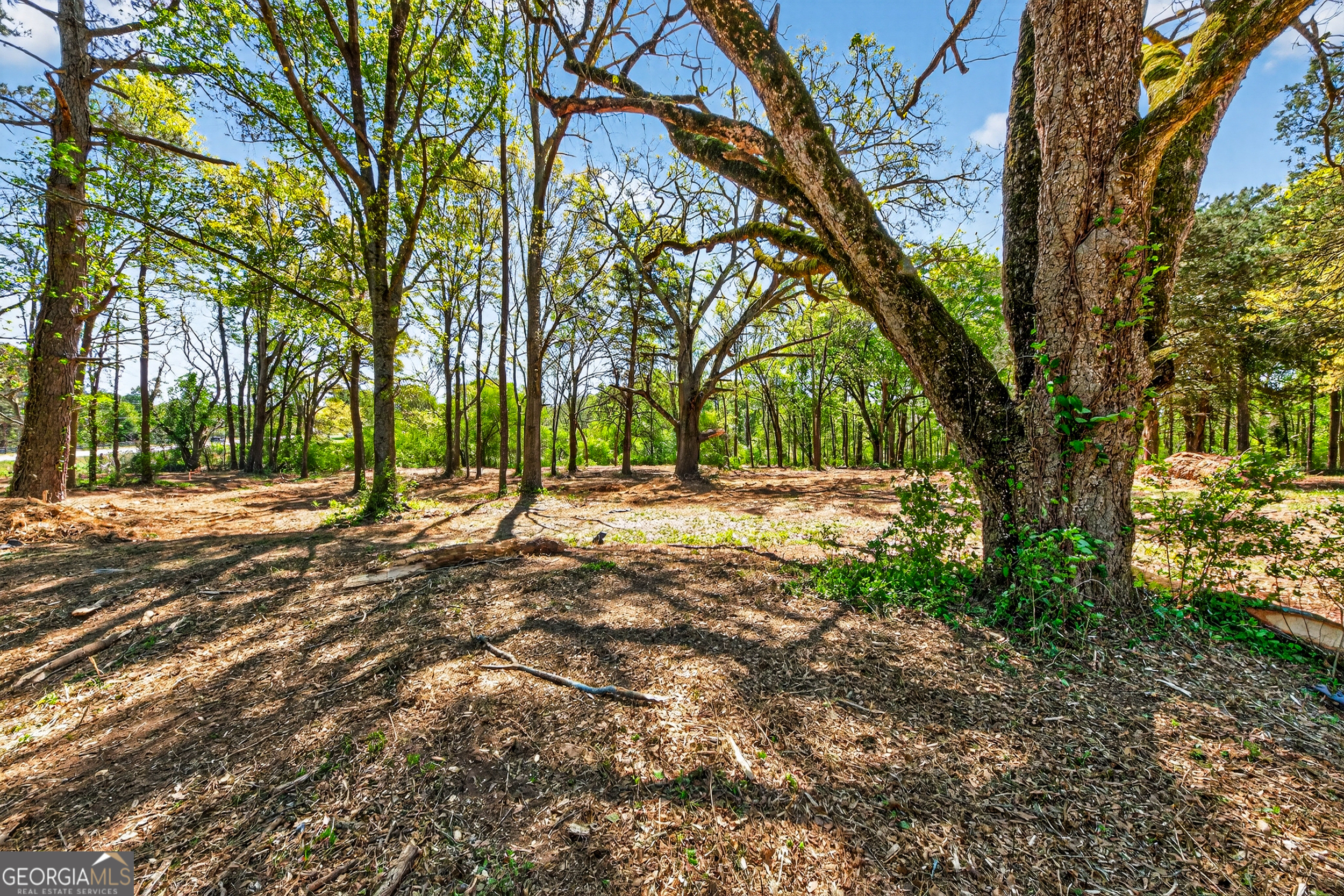 2330 Greensboro Highway Watkinsville GA 30677