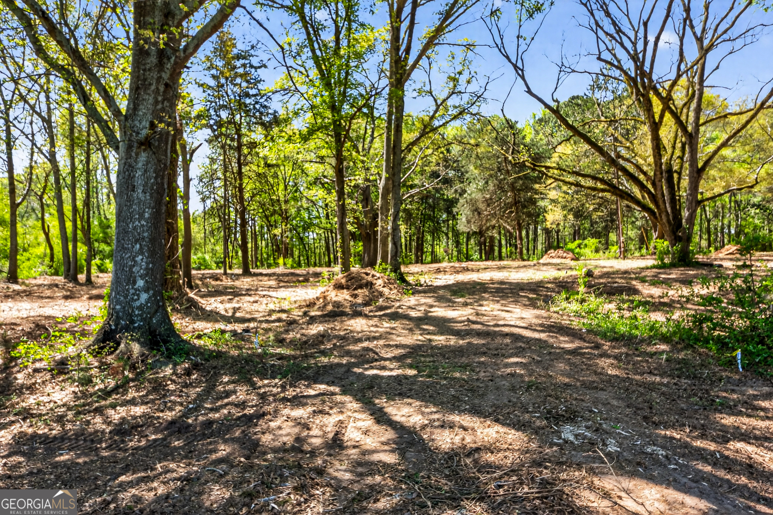 2330 Greensboro Highway Watkinsville GA 30677