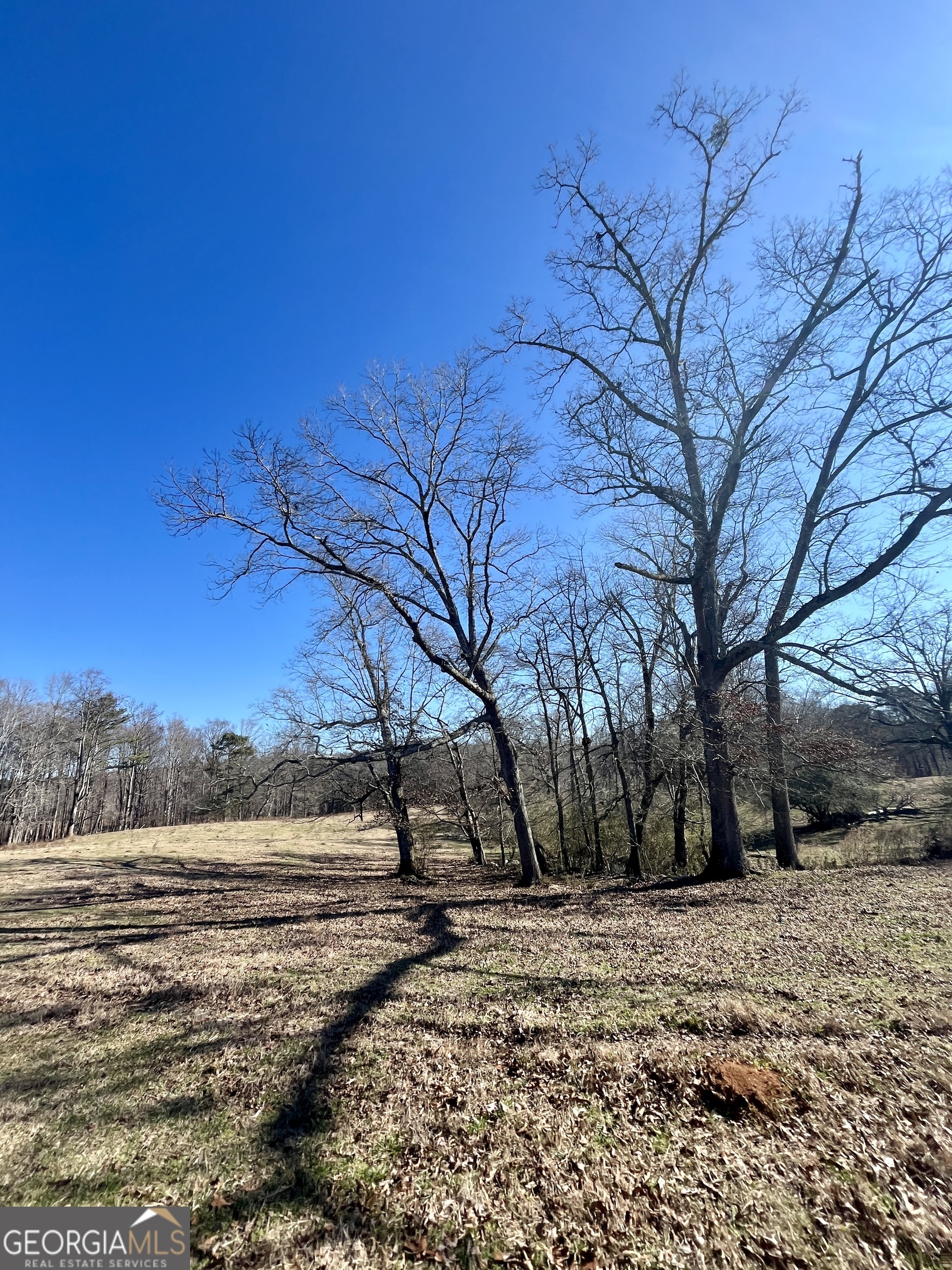 0 Kansas-jake Road Waco GA 30182