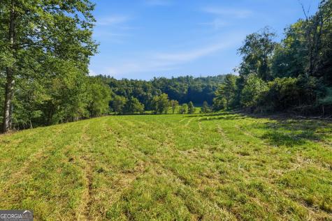 1818 Gaddistown Road Suches GA 30572