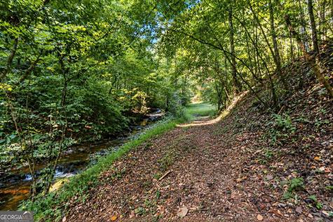 1818 Gaddistown Road Suches GA 30572