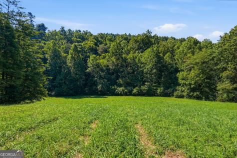1818 Gaddistown Road Suches GA 30572