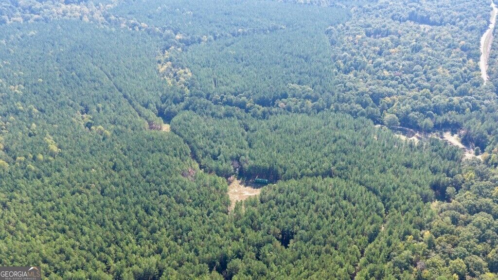0 Hwy 220 & Salem Church Road Lincolnton GA 30817