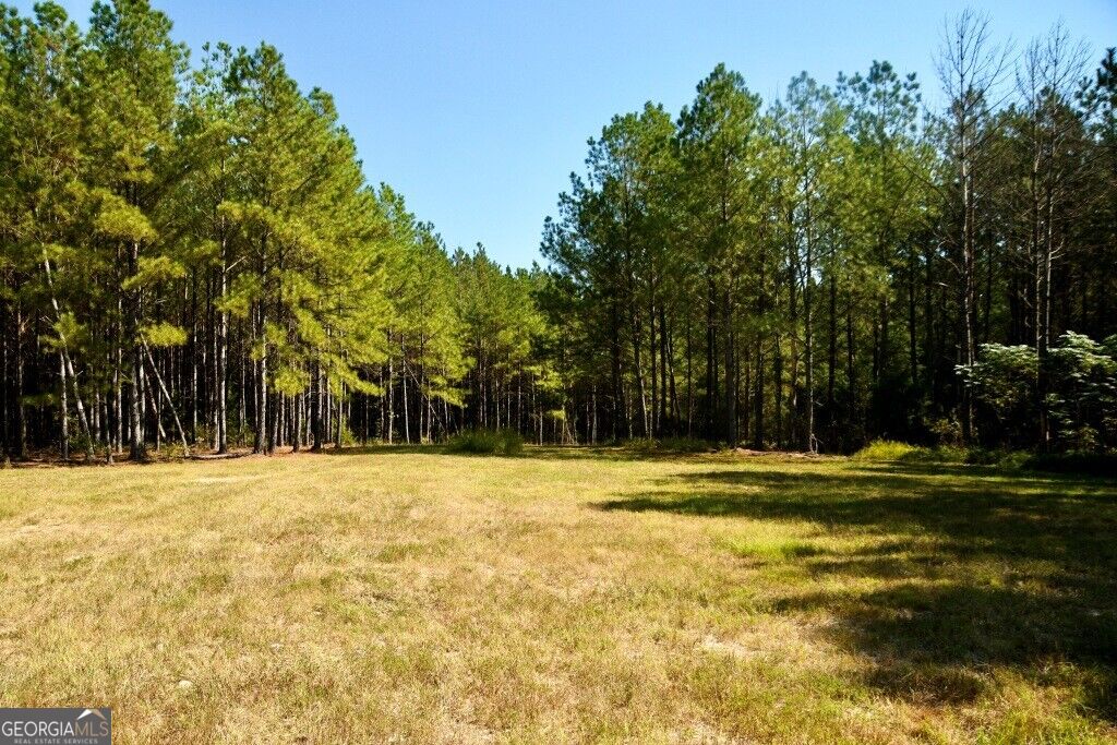 0 Hwy 220 & Salem Church Road Lincolnton GA 30817