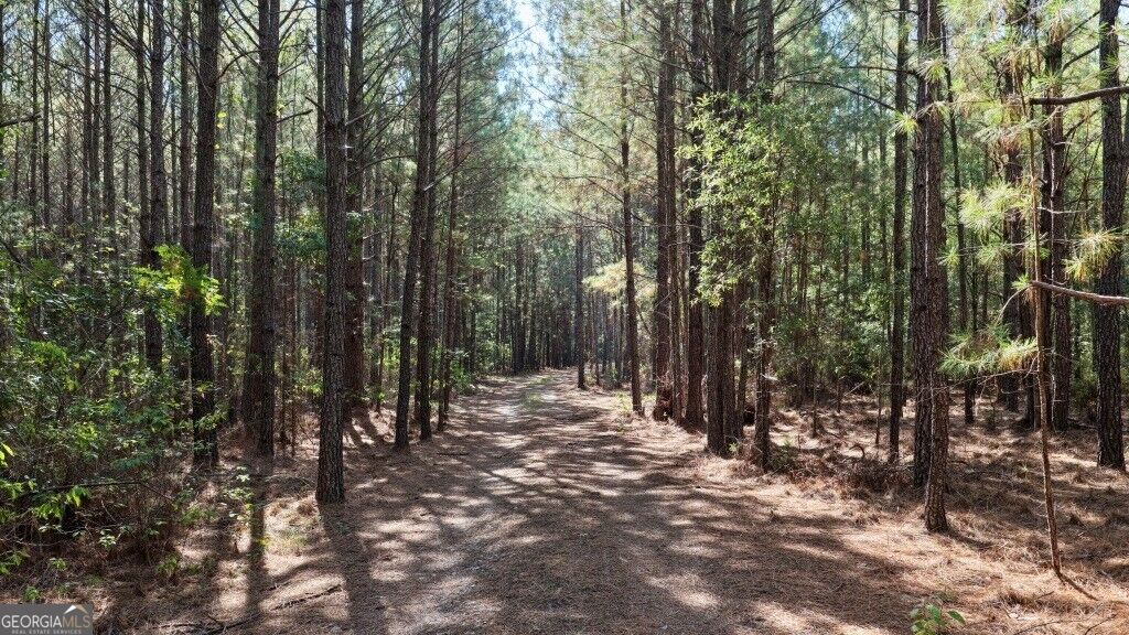 0 Hwy 220 & Salem Church Road Lincolnton GA 30817
