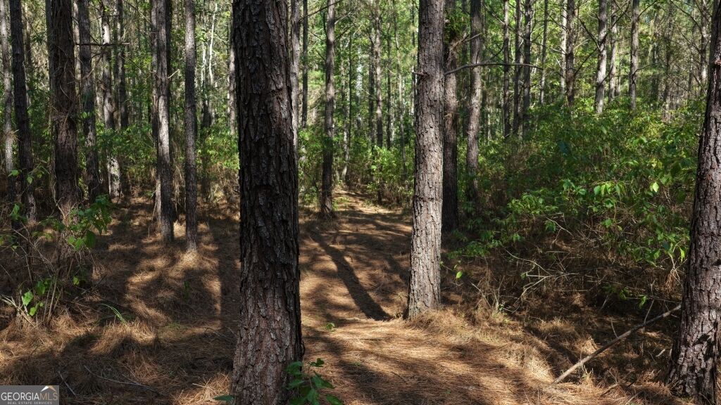 0 Hwy 220 & Salem Church Road Lincolnton GA 30817