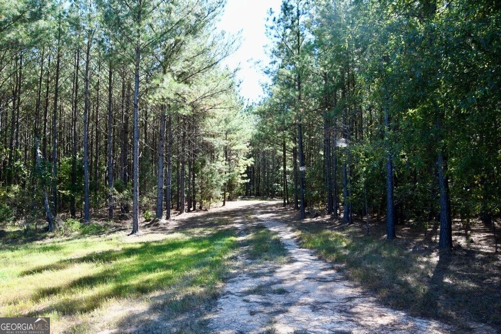 0 Hwy 220 & Salem Church Road Lincolnton GA 30817