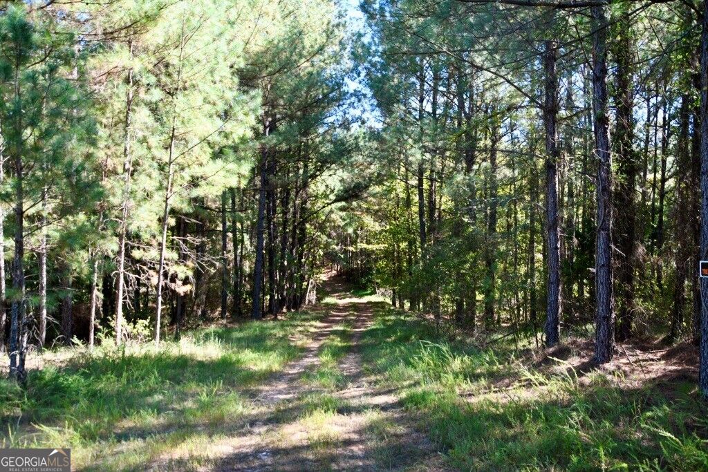 0 Hwy 220 & Salem Church Road Lincolnton GA 30817