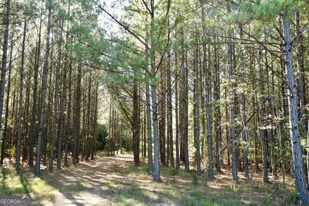 0 Hwy 220 & Salem Church Road Lincolnton GA 30817