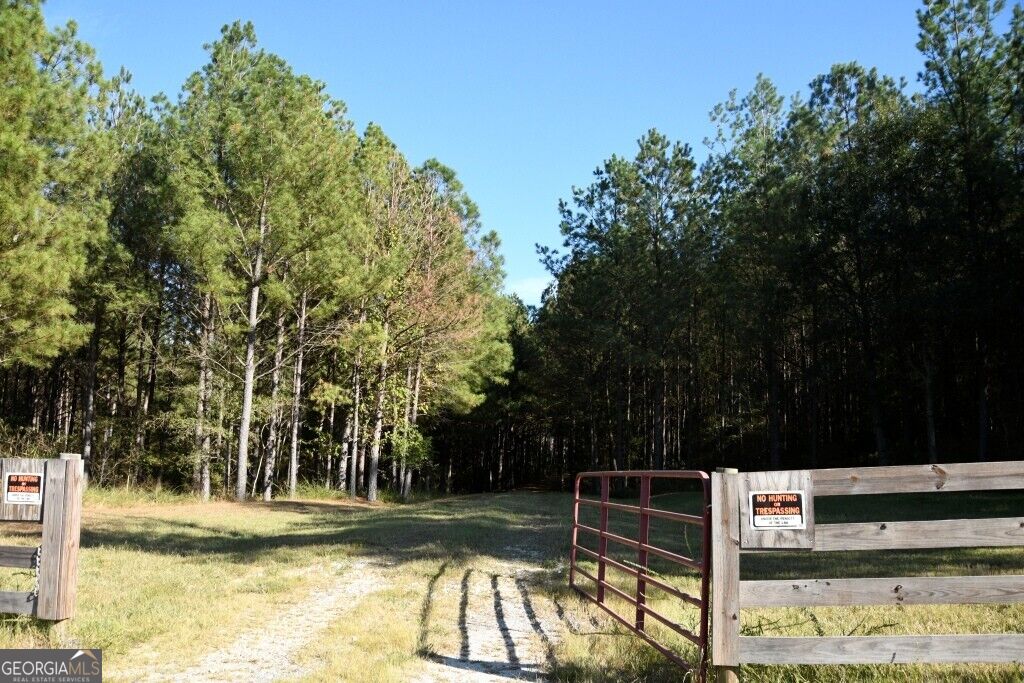 0 Hwy 220 & Salem Church Road Lincolnton GA 30817