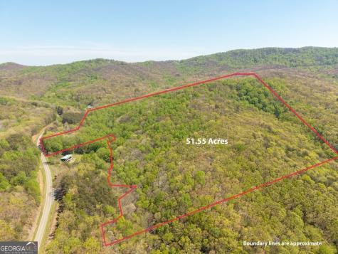 0 Burnt Mountain Road Ellijay GA 30536