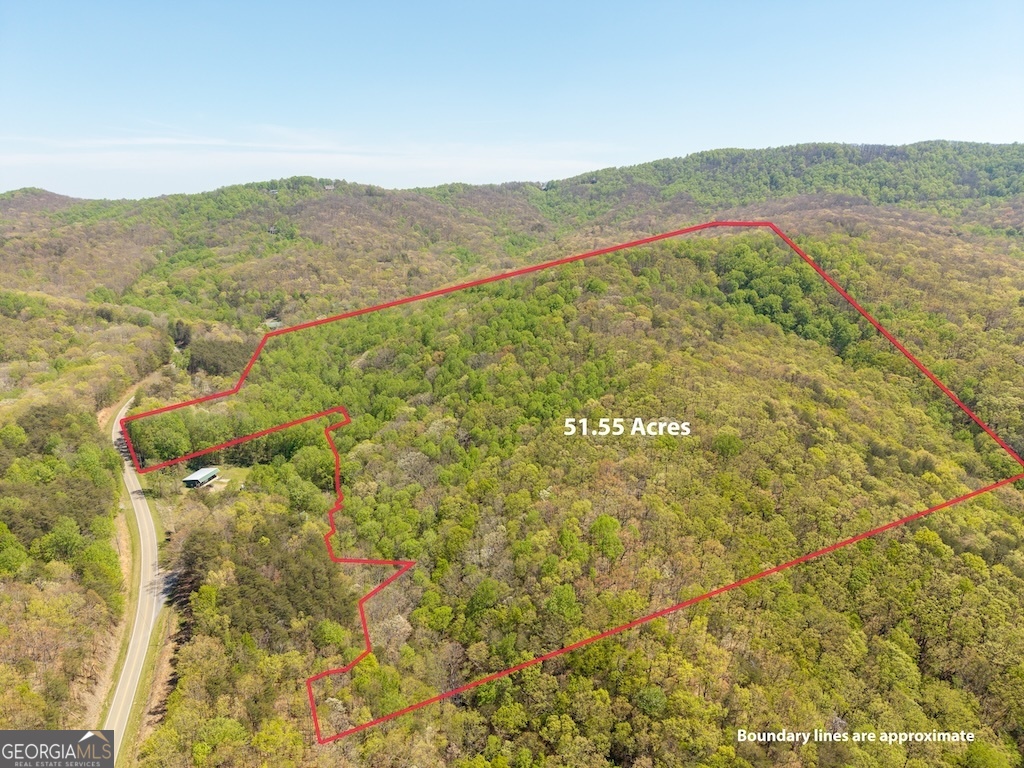 0 Burnt Mountain Road Ellijay GA 30536