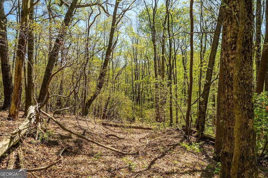 0 Burnt Mountain Road Ellijay GA 30536