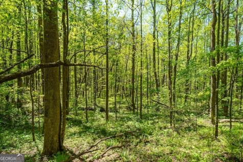 0 Burnt Mountain Road Ellijay GA 30536