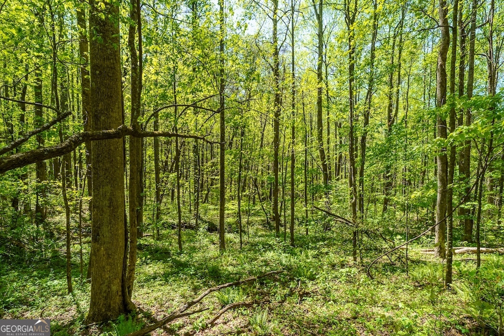 0 Burnt Mountain Road Ellijay GA 30536