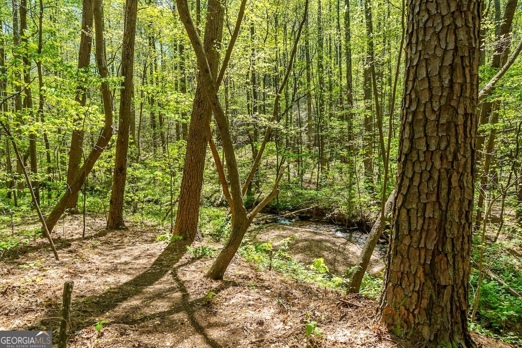 0 Burnt Mountain Road Ellijay GA 30536