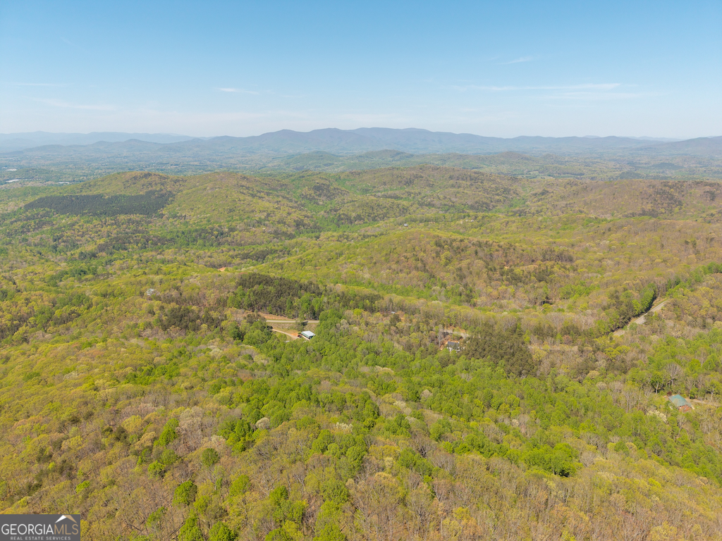 0 Burnt Mountain Road Ellijay GA 30536