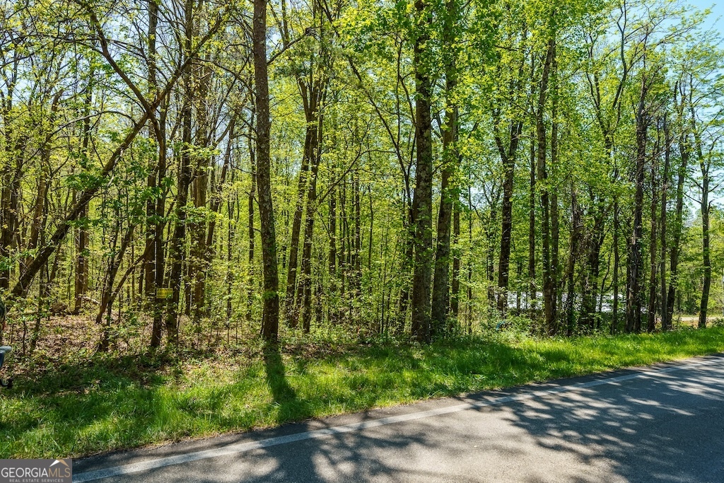 0 Burnt Mountain Road Ellijay GA 30536