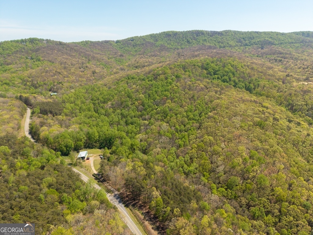 0 Burnt Mountain Road Ellijay GA 30536