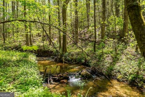 0 Burnt Mountain Road Ellijay GA 30536