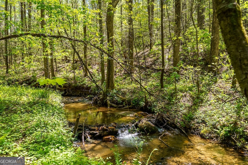 0 Burnt Mountain Road Ellijay GA 30536