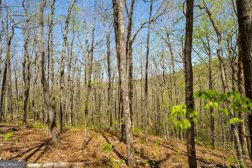 0 Burnt Mountain Road Ellijay GA 30536