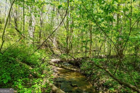 0 Burnt Mountain Road Ellijay GA 30536