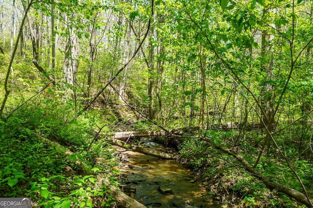 0 Burnt Mountain Road Ellijay GA 30536