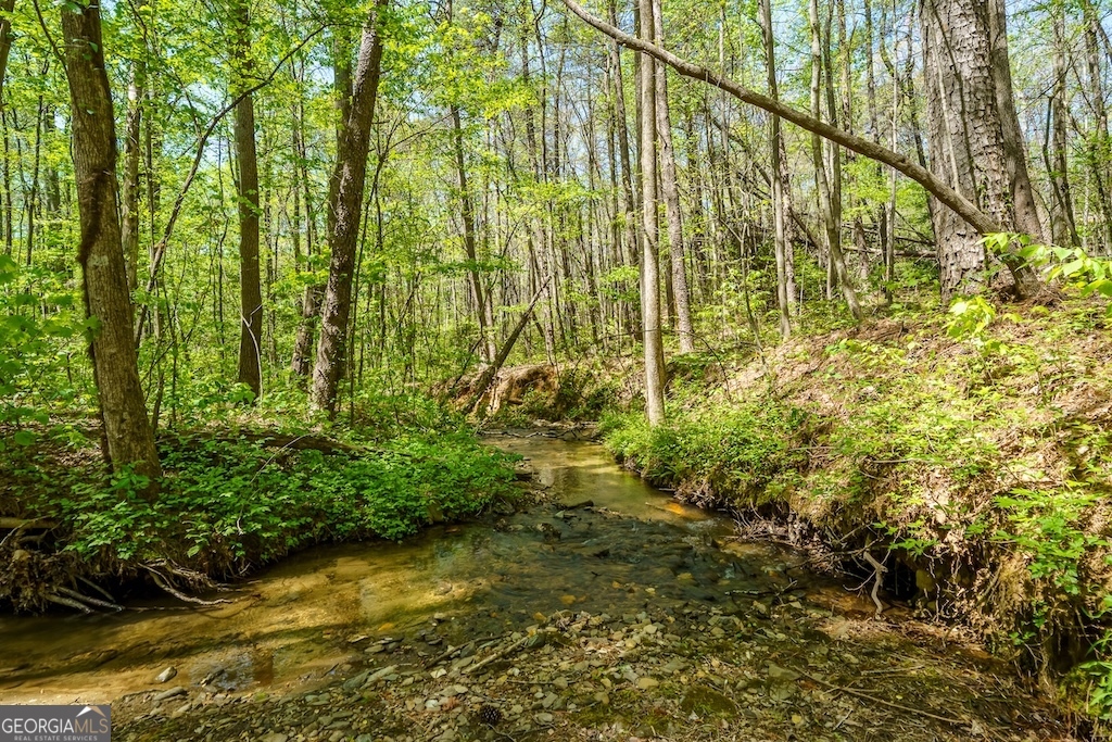 0 Burnt Mountain Road Ellijay GA 30536