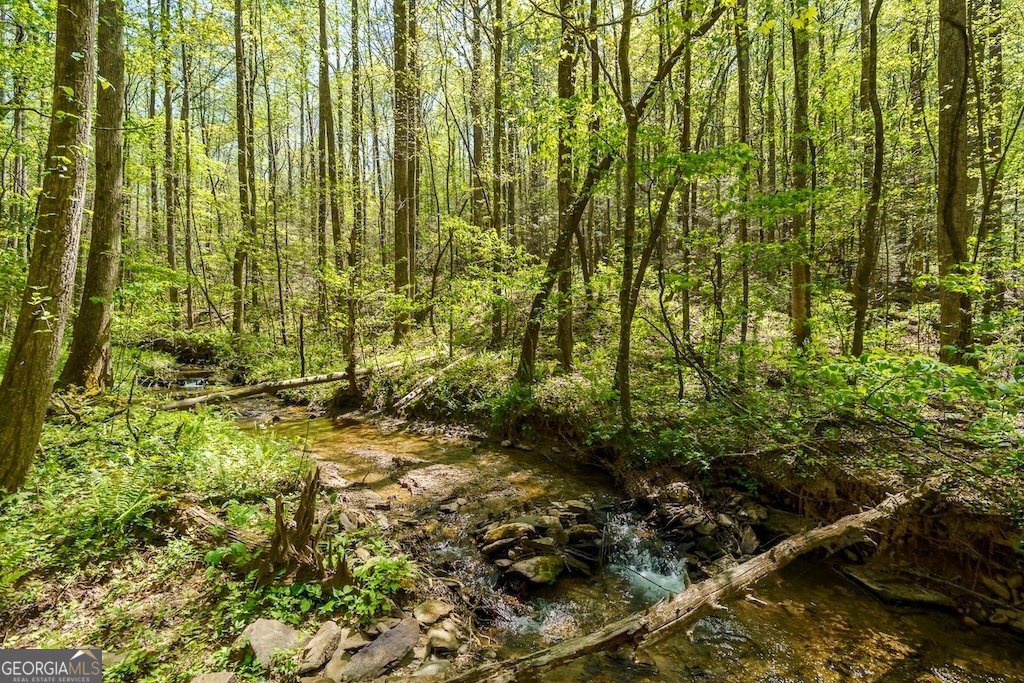 0 Burnt Mountain Road Ellijay GA 30536