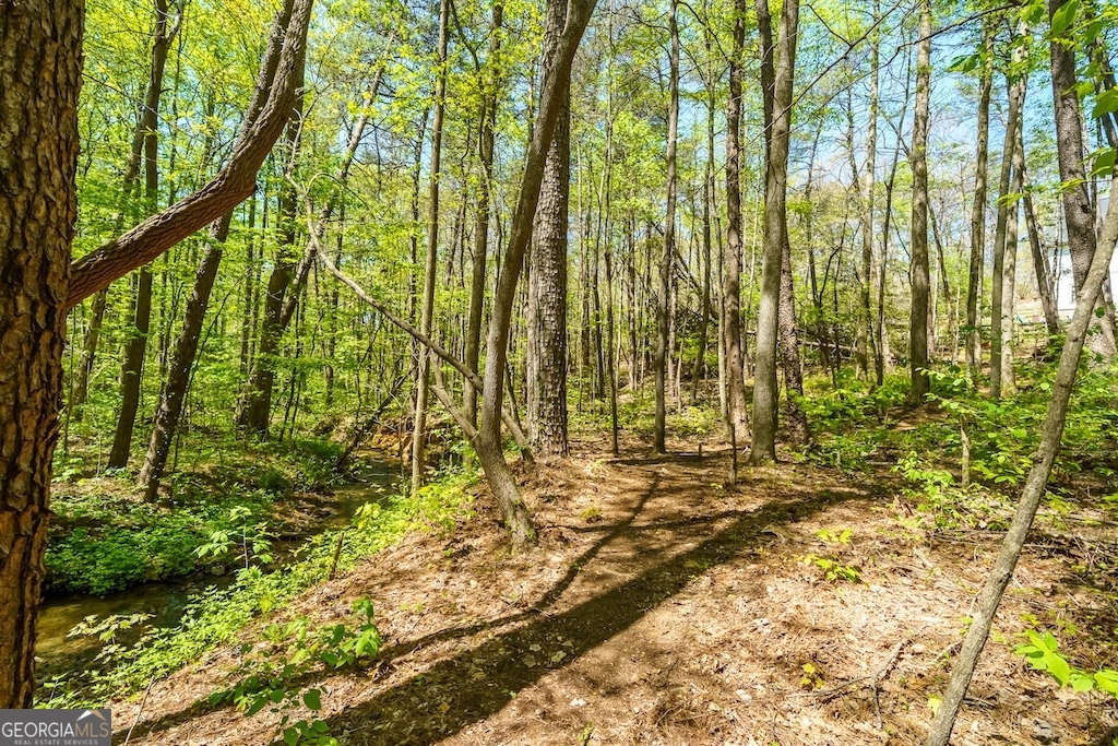 0 Burnt Mountain Road Ellijay GA 30536