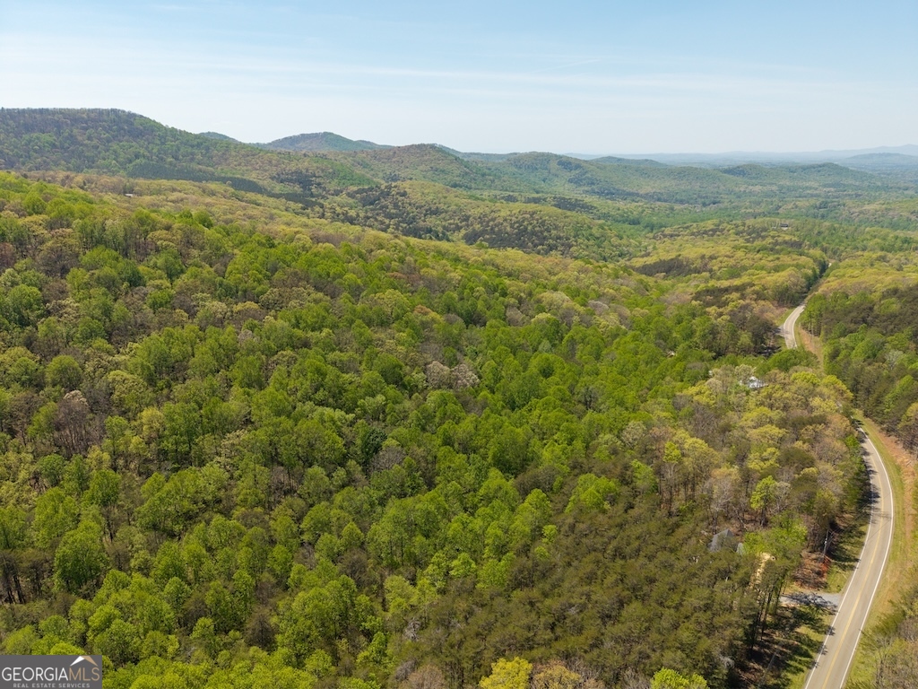 0 Burnt Mountain Road Ellijay GA 30536