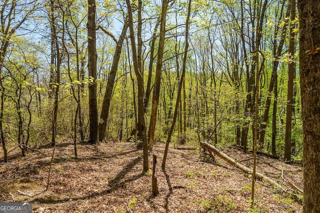 0 Burnt Mountain Road Ellijay GA 30536